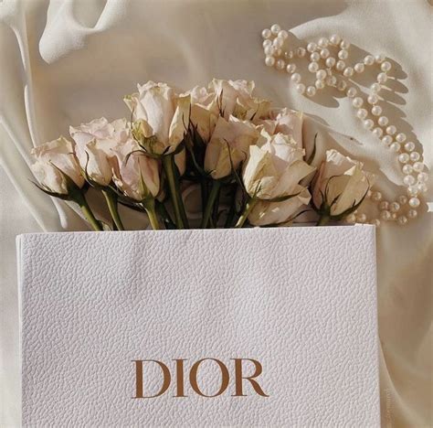 dior poster aesthetic|Dior aesthetic brand.